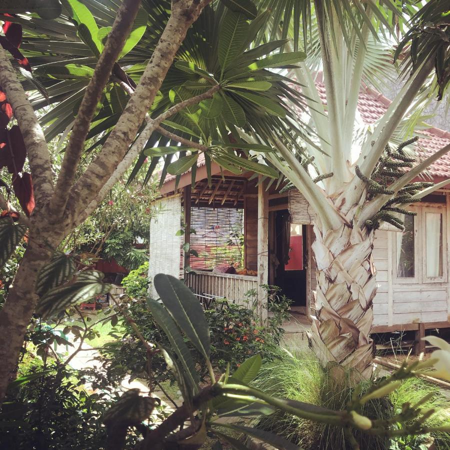 Ferienwohnung Harry'S Ocean House Pacitan Exterior foto